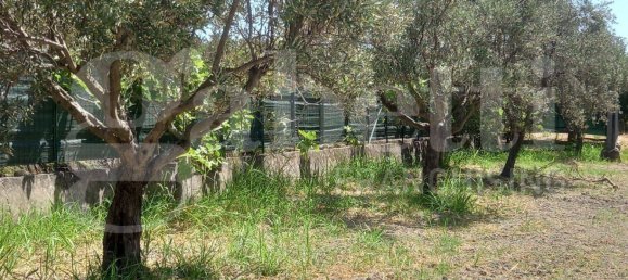 2-Zimmer Haus in Catanzaro, Italy, Nr. 291316 11