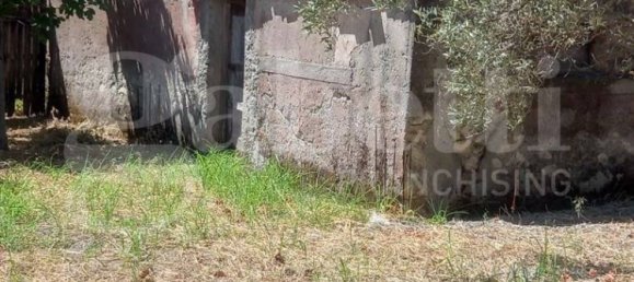 2-Zimmer Haus in Catanzaro, Italy, Nr. 291316 6