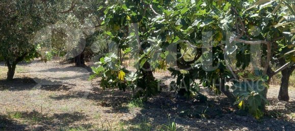 2-Zimmer Haus in Catanzaro, Italy, Nr. 291316 12