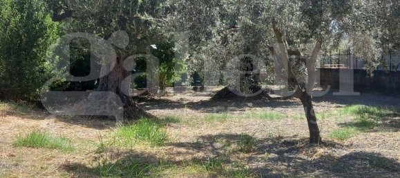 2-Zimmer Haus in Catanzaro, Italy, Nr. 291316 8