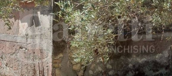 2-Zimmer Haus in Catanzaro, Italy, Nr. 291316 15