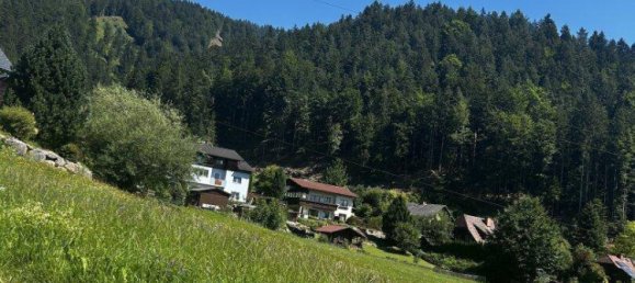 Terreno en Liezen, Austria No. 17084 2