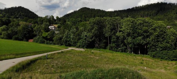 Grundstück in Magdalensberg, Austria 2000m², Nr. 219301 14