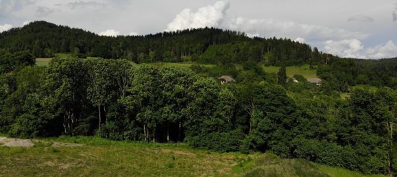 Grundstück in Magdalensberg, Austria 2000m², Nr. 219301 16