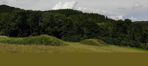 Grundstück in Magdalensberg, Austria 2000m², Nr. 219301 22