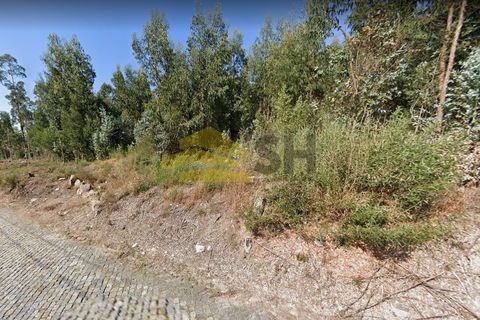 Terreno en Trofa, Portugal No. 202347