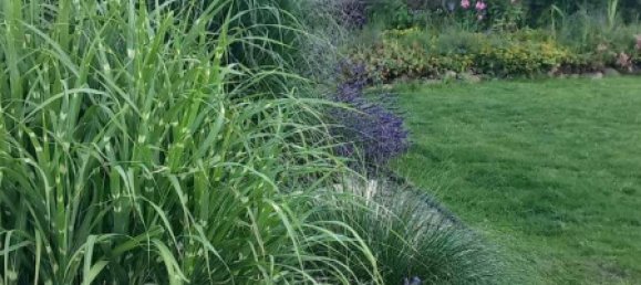 3 bedrooms House in Oberhavel, Germany No. 10349 17