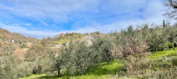 3 rooms House in Olevano Romano, Italy No. 47739 11