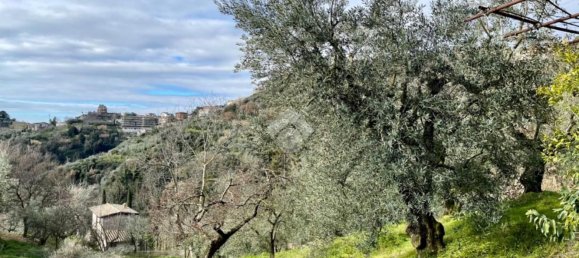 3 rooms House in Olevano Romano, Italy No. 47739 12