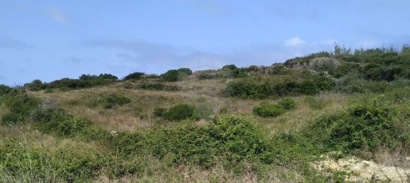 1720m² Land in Sintra, Portugal No. 82071 10