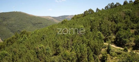 4 chambres Maison à Lousa, Portugal No. 93175 40