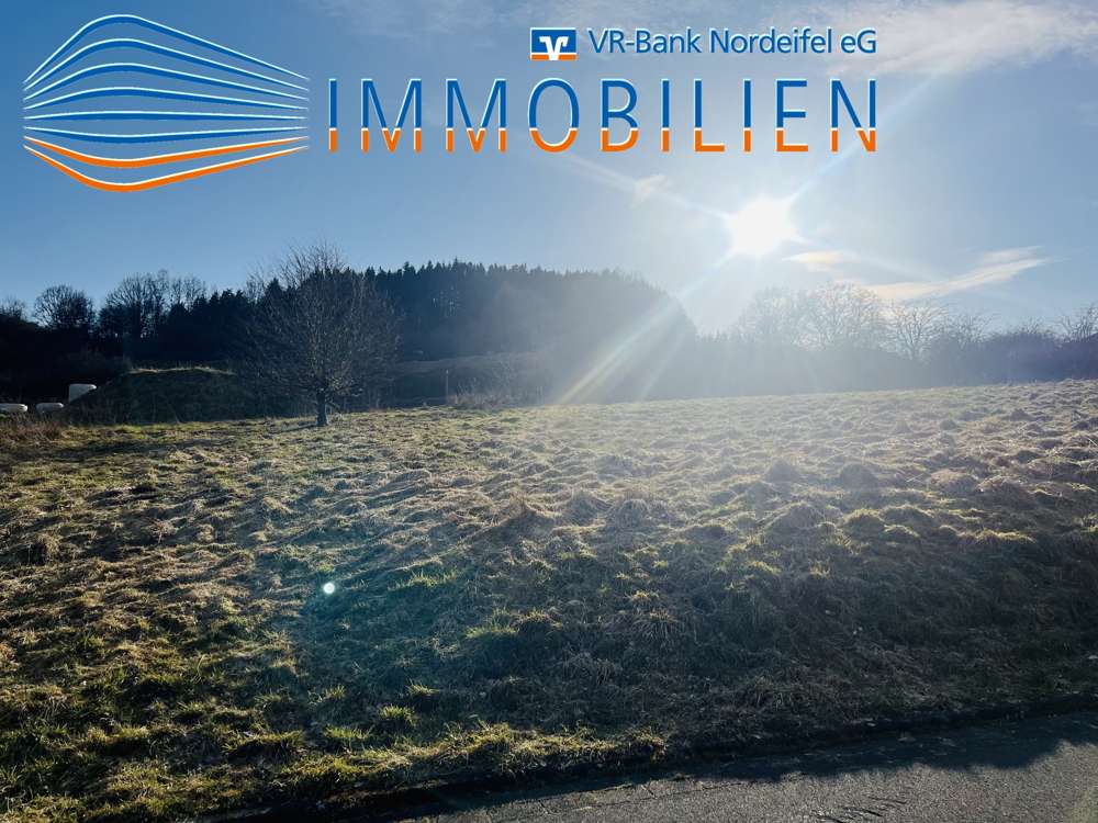 Земельный участок в Ойскирхен, Германия № 135087