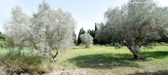 Дом с 4 спальнями в Нулес, Испания № 129427 5