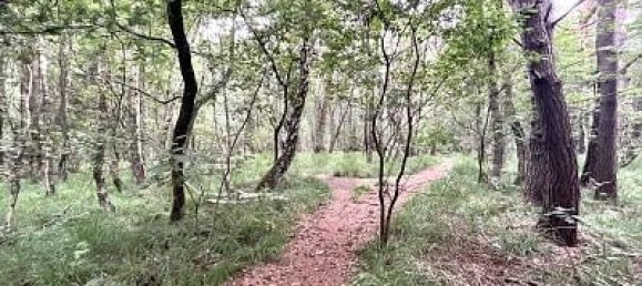 Terreno em Pinneberg, Germany 5634 m² N.º 49294 3