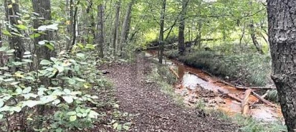 Terreno em Pinneberg, Germany 5634 m² N.º 49294 7