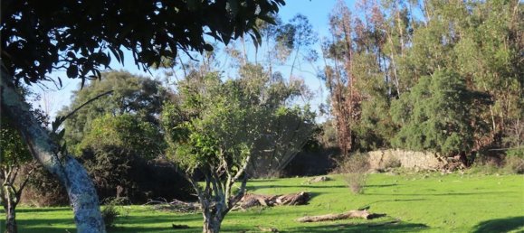 Casa T6 em Idanha a Nova, Portugal N.º 176993 23