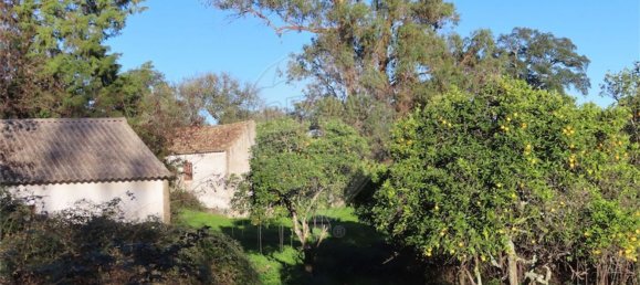 Casa T6 em Idanha a Nova, Portugal N.º 176993 39