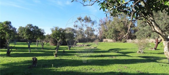 Casa T6 em Idanha a Nova, Portugal N.º 176993 21