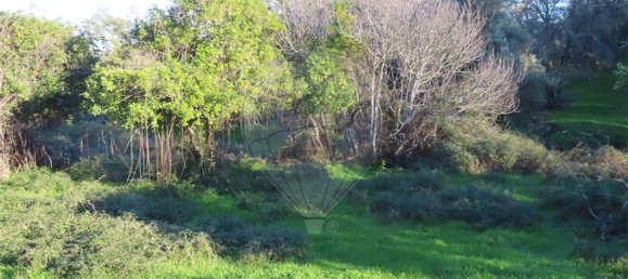 Casa T6 em Idanha a Nova, Portugal N.º 176993 38