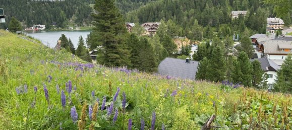 Terrain à Reichenau, Austria No. 130333 4