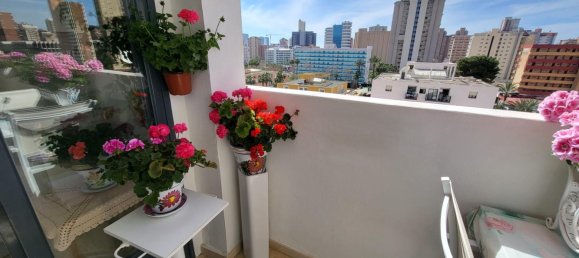 2 Schlafzimmer Wohnung in Benidorm, Spain, Nr. 172378 4