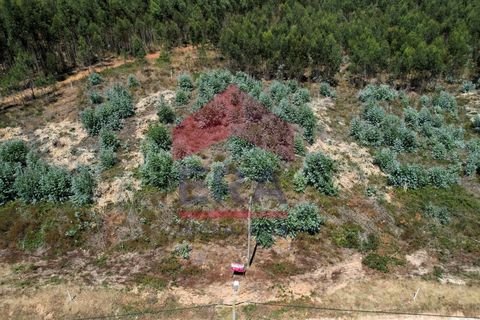 250m² Land in Torres Vedras, Portugal No. 214970