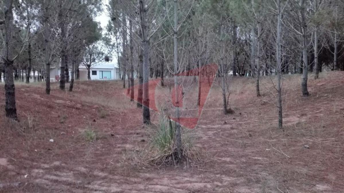  Land in Mar del Plata, Argentina No. 112516