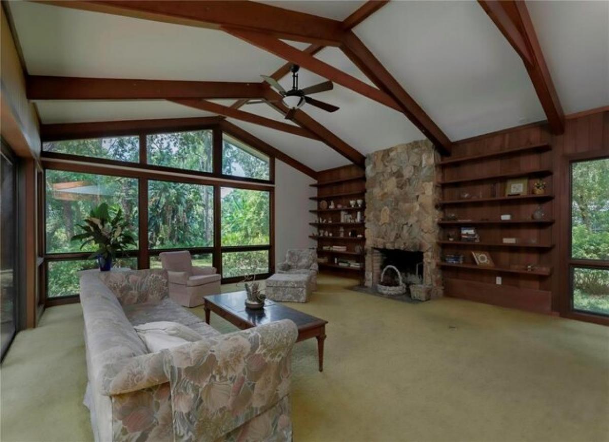 4 bedrooms House in Dunedin, USA No. 420873