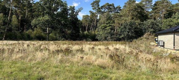 Terreno en Heidekreis, Germany No. 294251 2