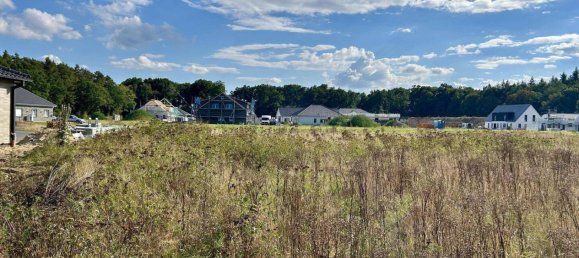 Terreno en Heidekreis, Germany No. 294251 4