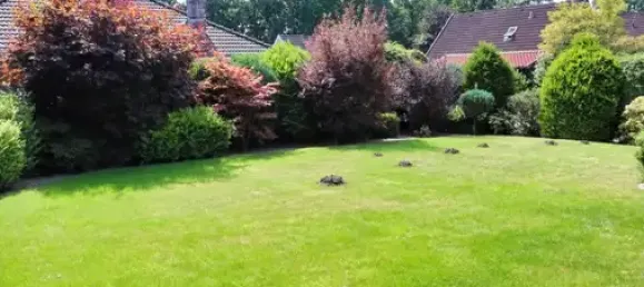 1 bedroom Bungalow in Oldenburg, Germany No. 286688 5