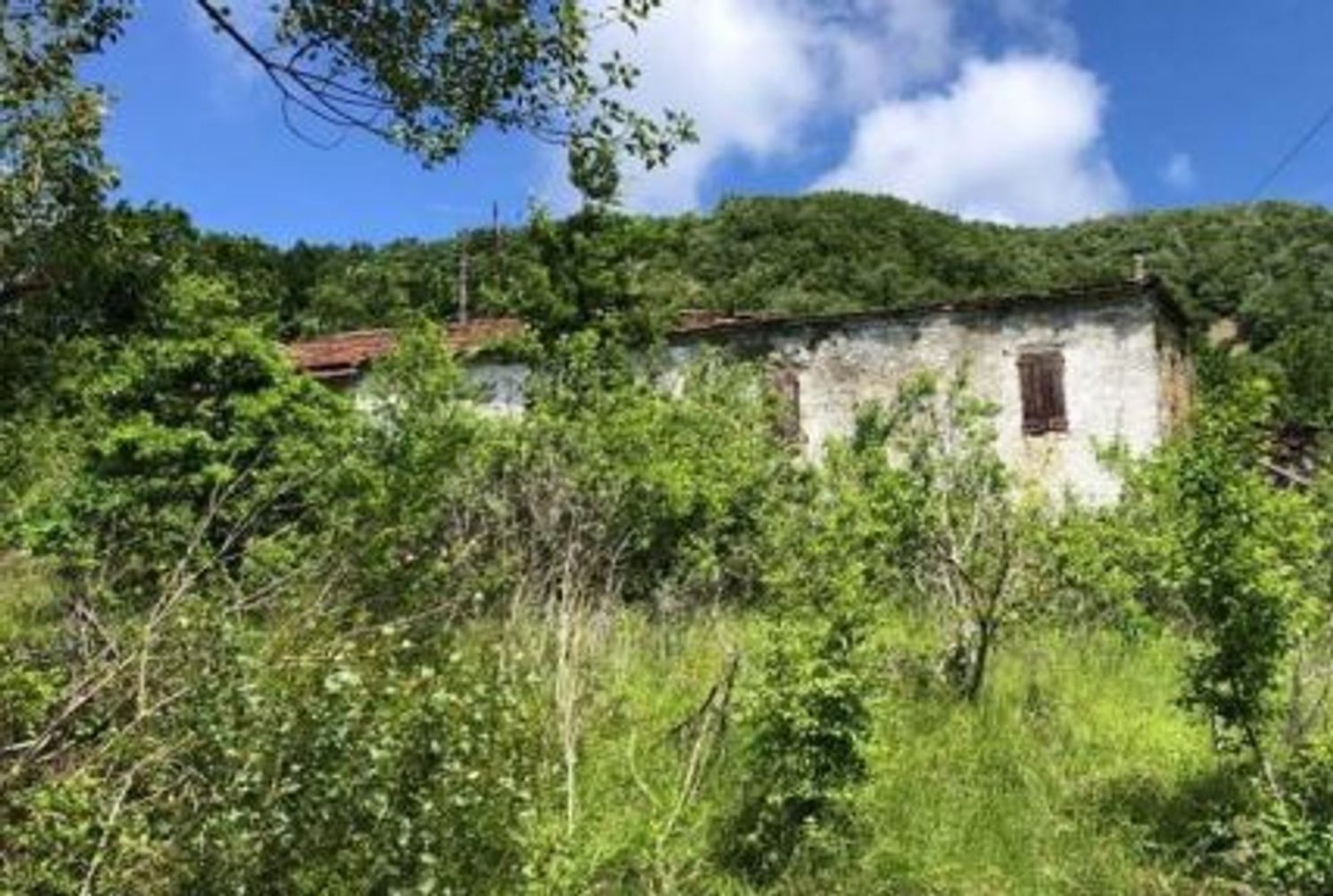 Studio in Valmozzola, Italy No. 99539