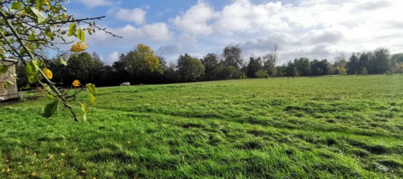 5 chambres Maison à Château-la-Vallière, France No. 89363 5