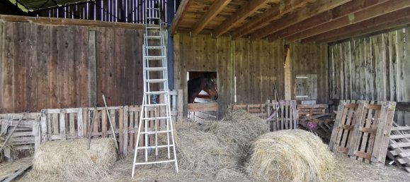 5 chambres Maison à Château-la-Vallière, France No. 89363 21