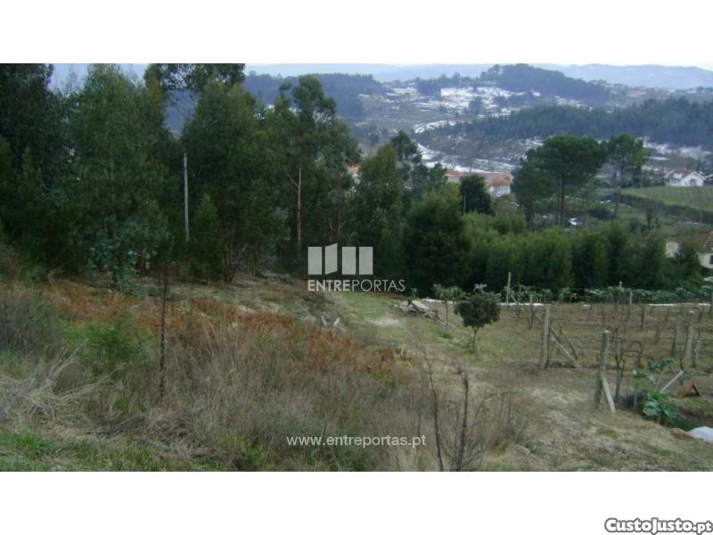 Grundstück in Marco de Canaveses, Portugal 27000m², Nr. 54458