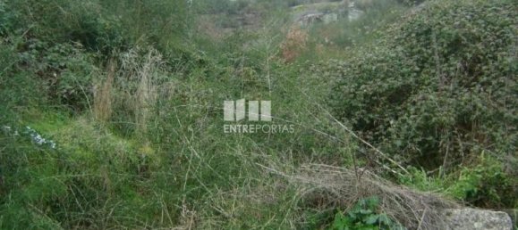 Grundstück in Marco de Canaveses, Portugal 27000m², Nr. 54458 2