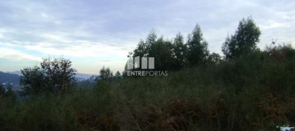 Grundstück in Marco de Canaveses, Portugal 27000m², Nr. 54458 4