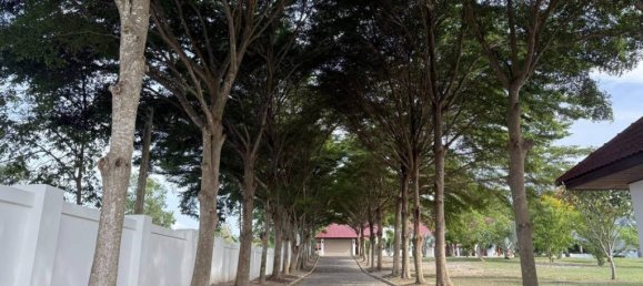 3 chambres Villa à Hua Hin, Thailand No. 62005 8