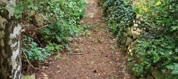 5-Zimmer Bungalow in Lüchow-Dannenberg, Germany, Nr. 177772 33