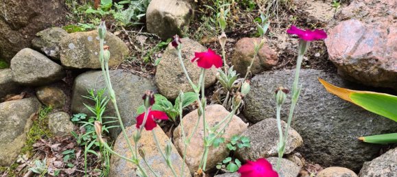 5-Zimmer Bungalow in Lüchow-Dannenberg, Germany, Nr. 177772 28