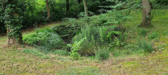 5-Zimmer Bungalow in Lüchow-Dannenberg, Germany, Nr. 177772 38