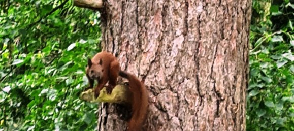 5-Zimmer Bungalow in Lüchow-Dannenberg, Germany, Nr. 177772 40