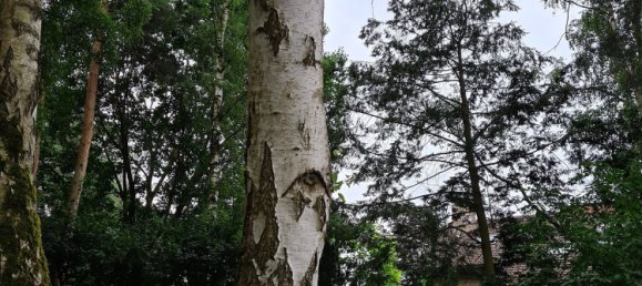 5-Zimmer Bungalow in Lüchow-Dannenberg, Germany, Nr. 177772 39