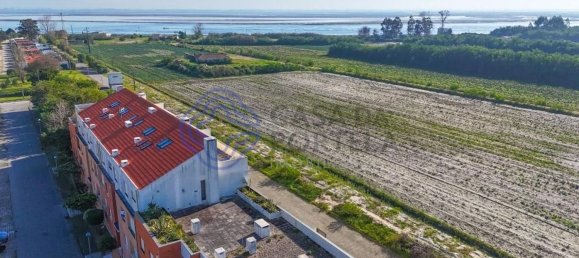 4 bedrooms Apartment in Torreira, Portugal No. 37450 2