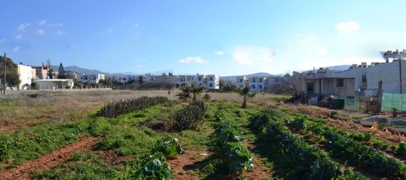 فندق في Hersonissos, Greece 3800متر مربع رقم 5890 4