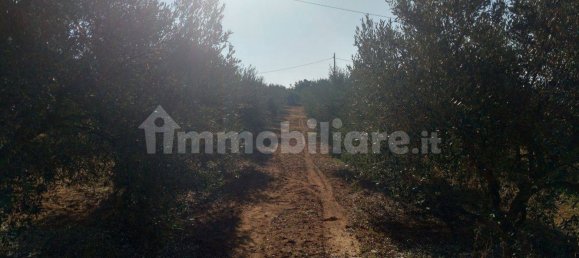 Terreno en Caltagirone, Italy 3170 m² No. 335127 5