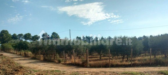 Terreno en Caltagirone, Italy 3170 m² No. 335127 9