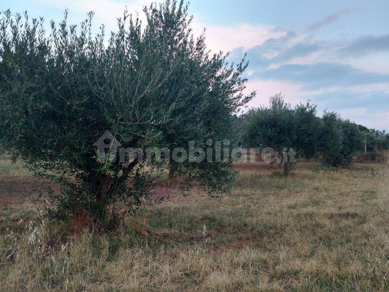 Terreno en Caltagirone, Italy 3170 m² No. 335127