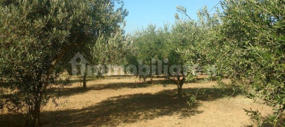 Terreno en Caltagirone, Italy 3170 m² No. 335127 7