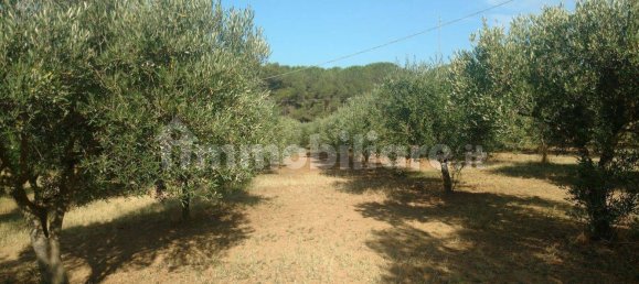 Terreno en Caltagirone, Italy 3170 m² No. 335127 8